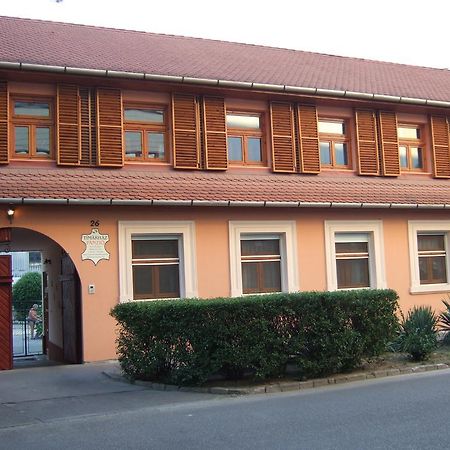 セゲド Timarhaz Panzio Bed & Breakfast エクステリア 写真