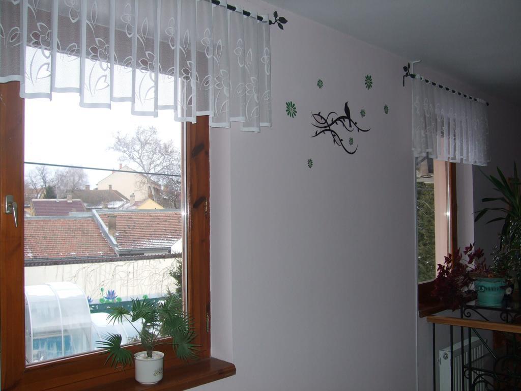 セゲド Timarhaz Panzio Bed & Breakfast 部屋 写真