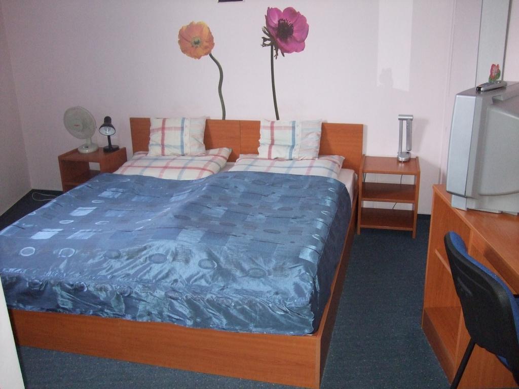 セゲド Timarhaz Panzio Bed & Breakfast 部屋 写真